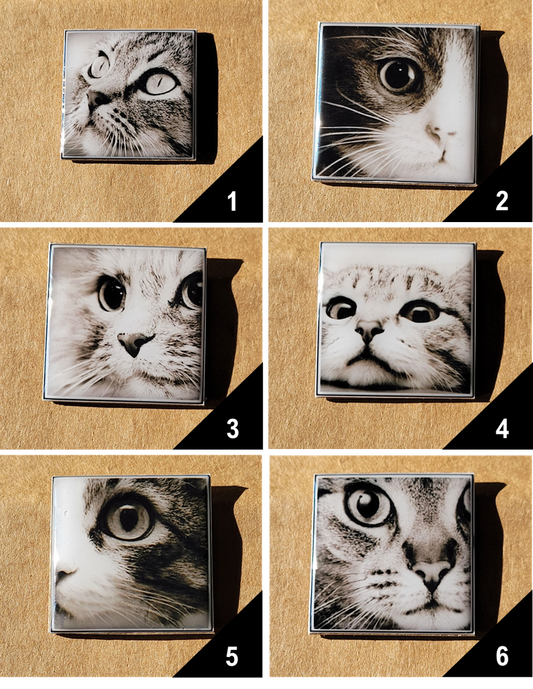 Cat Photo Square Magnets